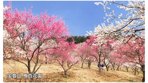 宝登山ロープウェイ 3