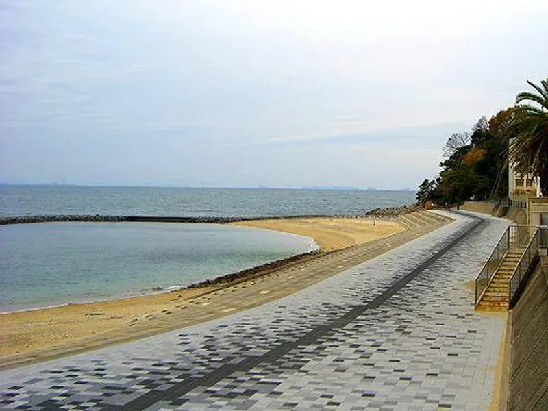 西浦海岸 潮干狩り(松島漁場)