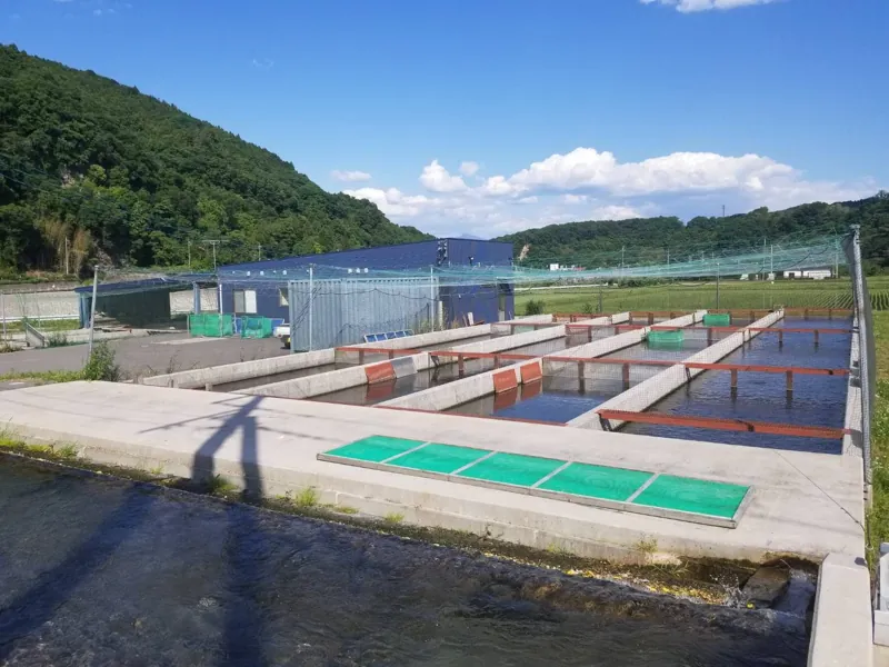 あづま養魚場