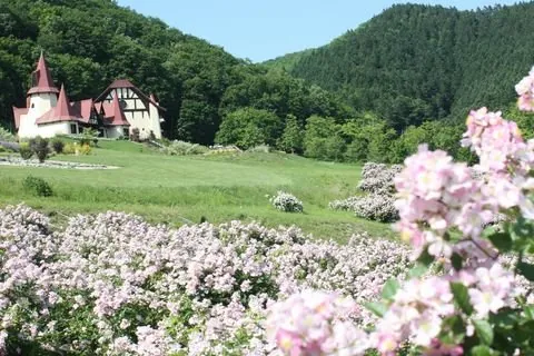 香りの里ハーブガーデン 2