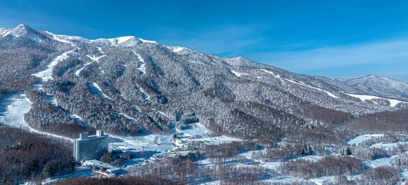 富良野スキー場