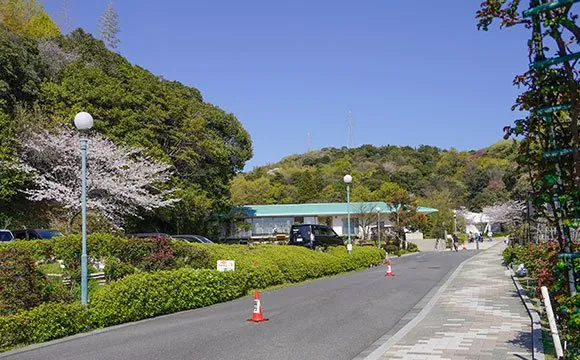 冠梅園 - 冠山総合公園 梅の里 1