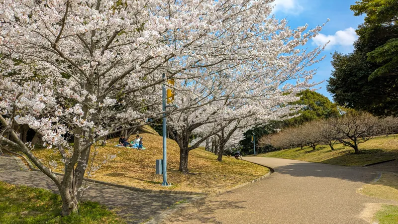 佐布里緑と花のふれあい公園