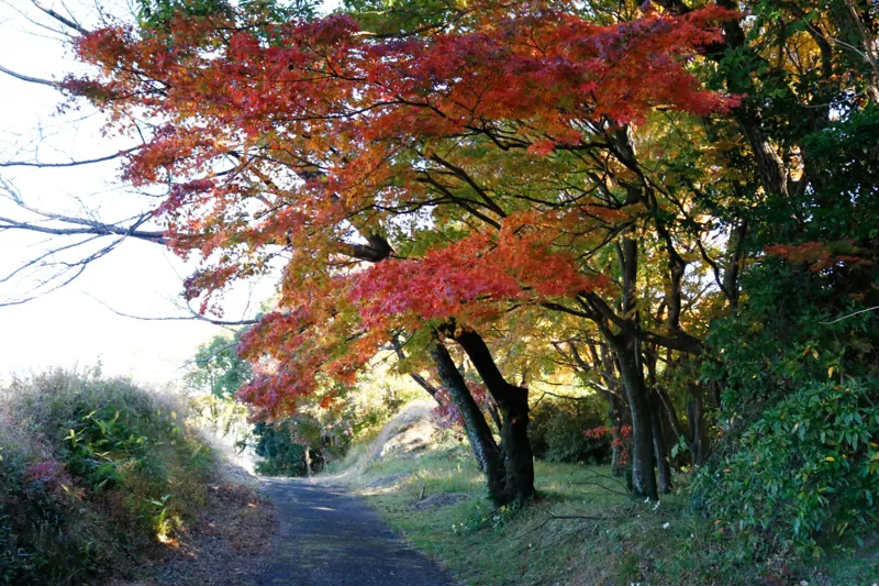 高岡公園 3
