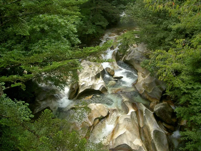 藤河内渓谷 2