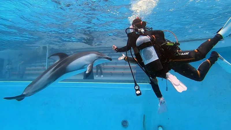 下田海中水族館