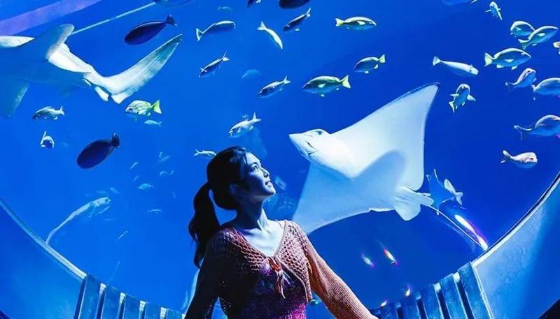 DMM かりゆし水族館 2