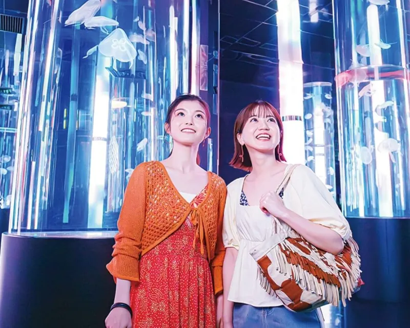 DMM かりゆし水族館 3
