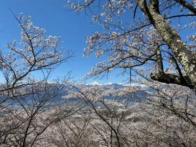 光城山