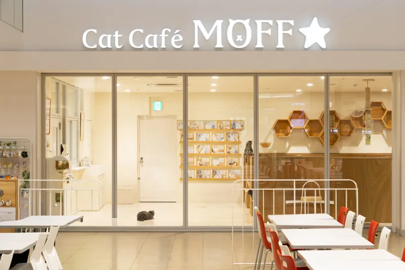 Cat Café MOFF アリオ倉敷店
