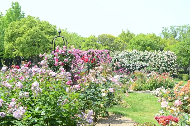 まなび中央公園 2