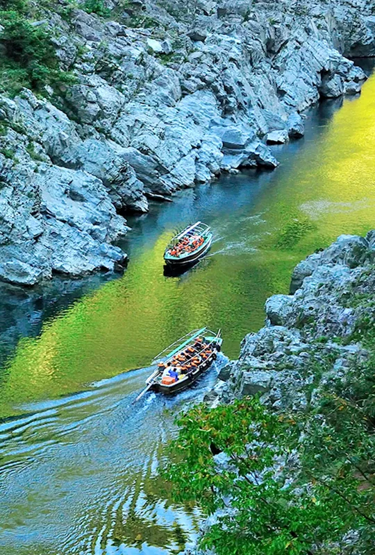 大歩危峡観光遊覧船