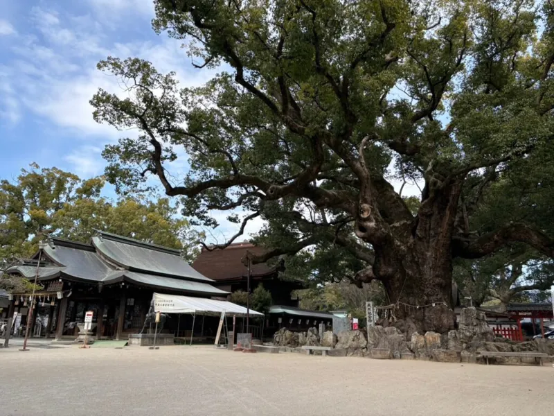 宇美八幡宮 2