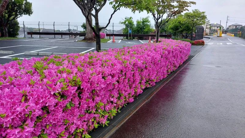 都田公園 2