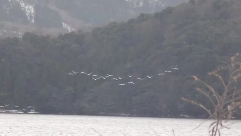 福井県海浜自然センター 2