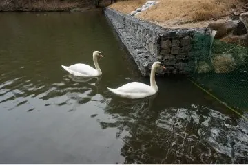 早島町ふれあいの森公園 2