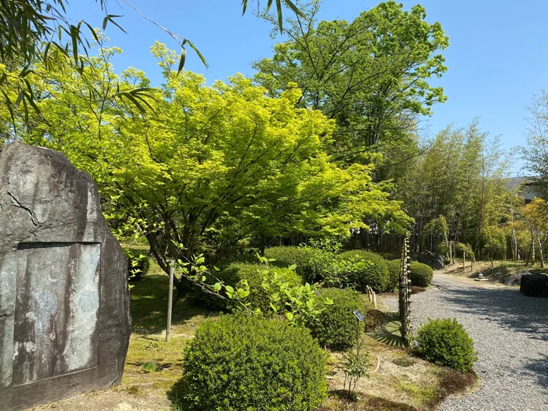 八幡市立松花堂庭園・美術館 2