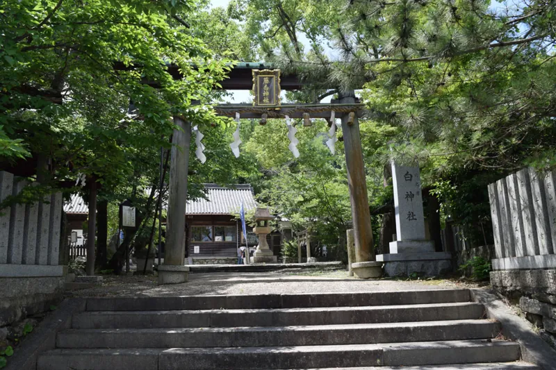 熊野古道 藤白坂（藤白神社〜御所の芝）