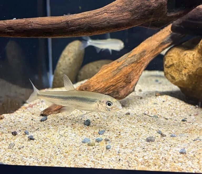 北の大地の水族館 -山の水族館- 2