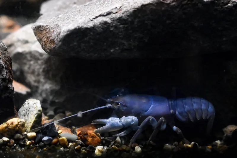 北の大地の水族館 -山の水族館- 3