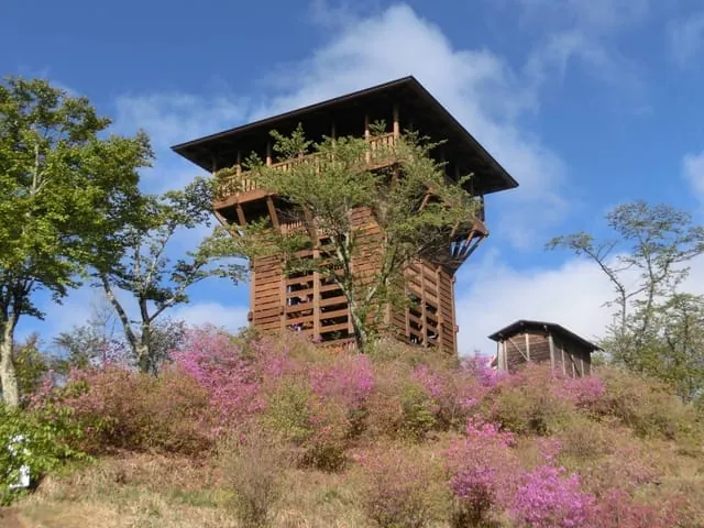長峰山 天平の森