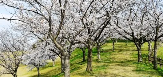 久末総合公園 みずがめの郷 2