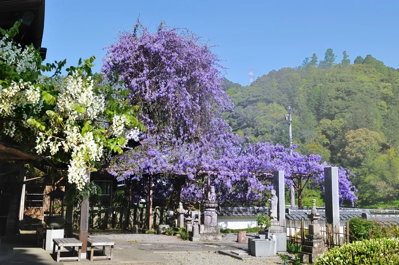 神光寺