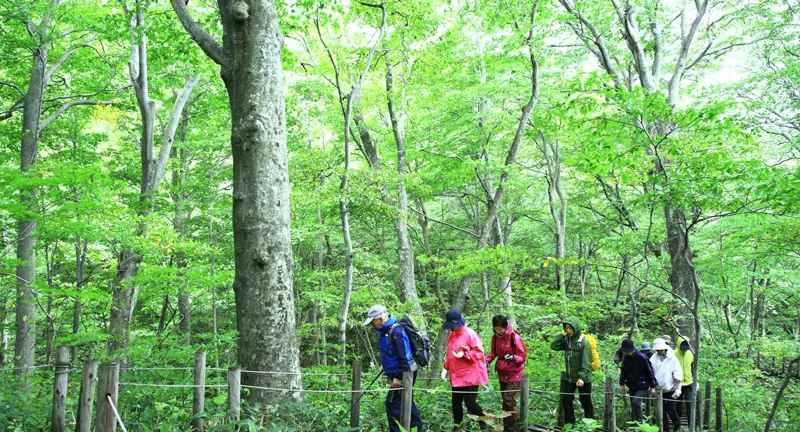 八森いさりび温泉 ハタハタ館 2