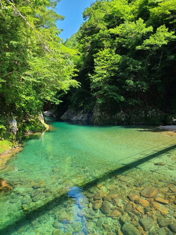 板取キャンプ場