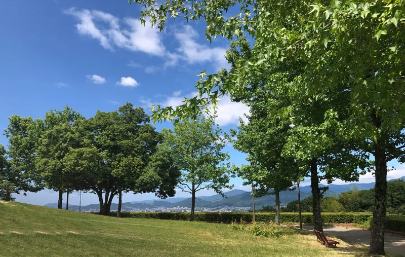 大野城いこいの森 中央公園