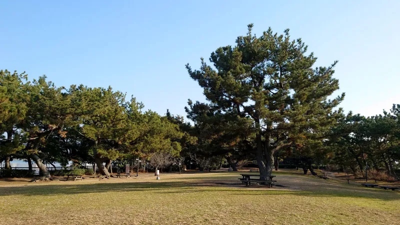 片男波公園