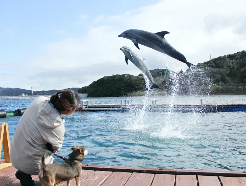 じゃのひれDolphin Arch Awaji