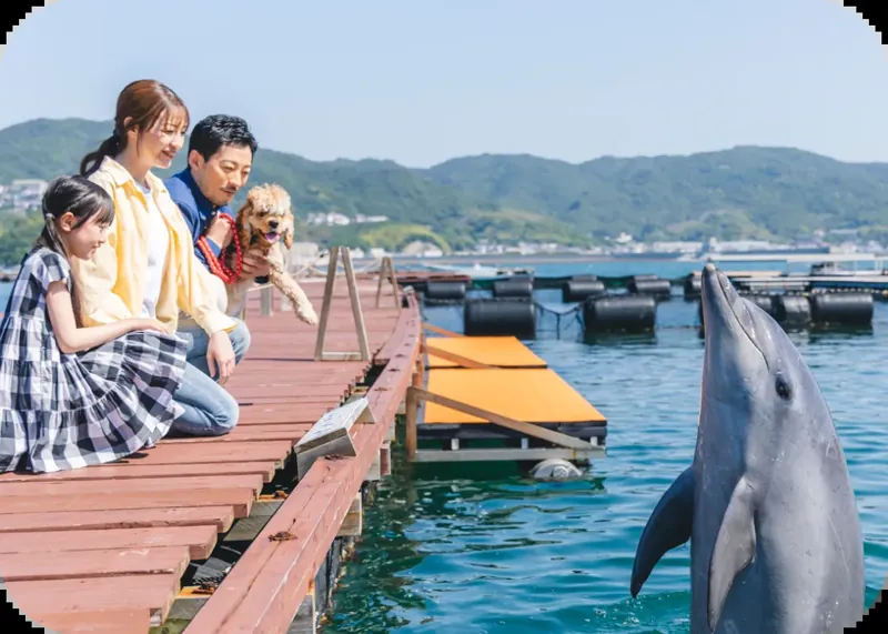 じゃのひれDolphin Arch Awaji 3