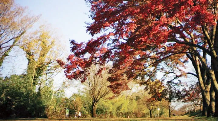 大野極楽寺公園 2