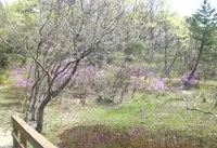 県営小幡緑地(本園) 3