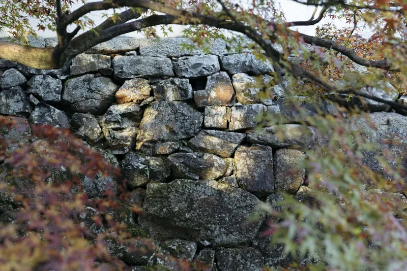 酬恩庵一休寺 2