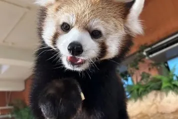 ネオパークオキナワ 2