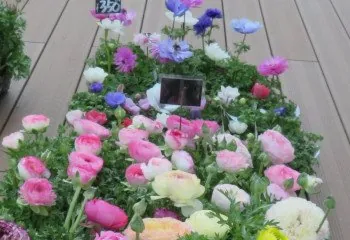 兵庫楽農生活センター 2