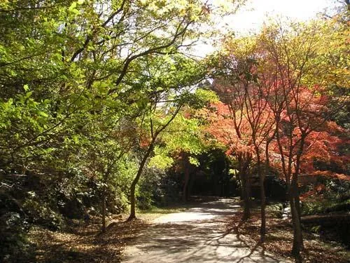 小木津山自然公園