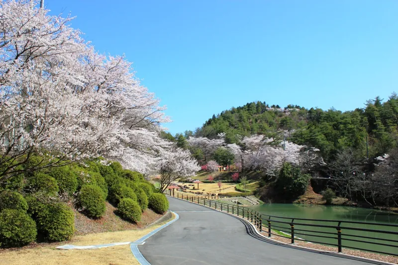 山楠公園