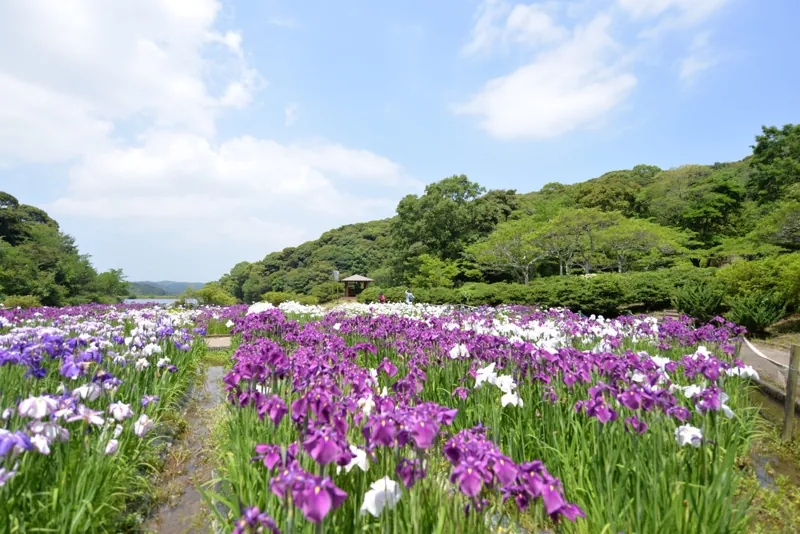 物見山総合公園