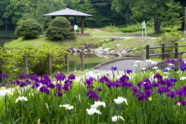 物見山総合公園 2