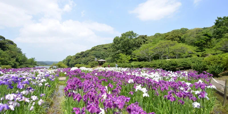 物見山総合公園 3