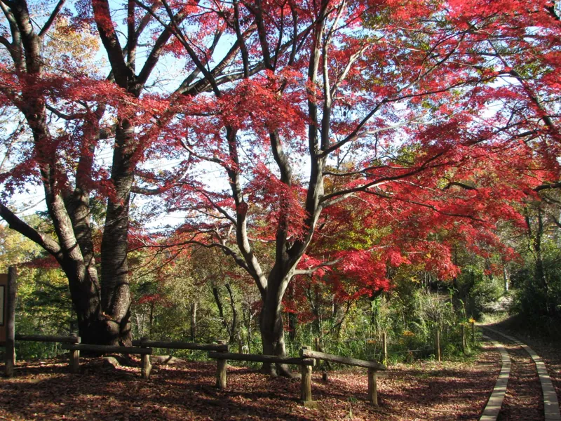 長沼公園