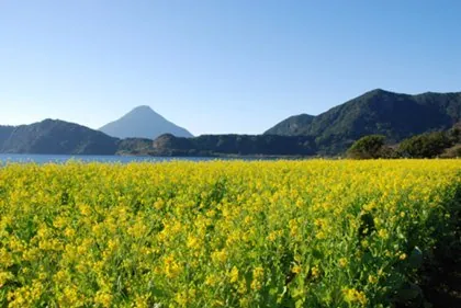 池田湖 3