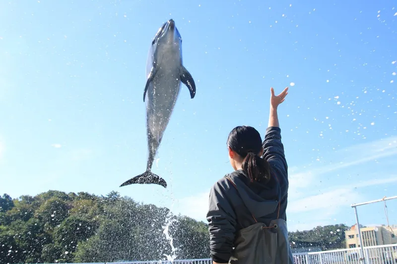 天草パールガーデン&海中水族館シードーナツ 2