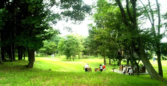 遺跡公園 3