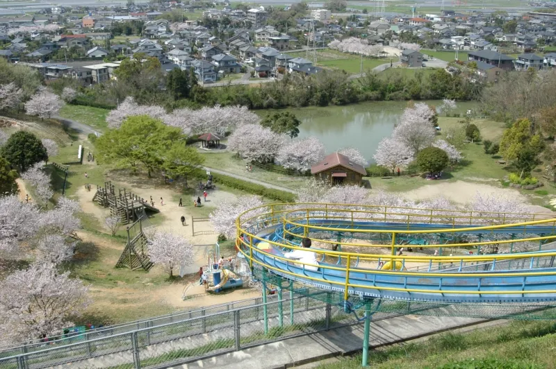 岡岳公園