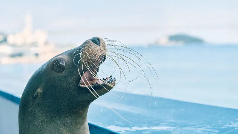 市立しものせき水族館 海響館 2