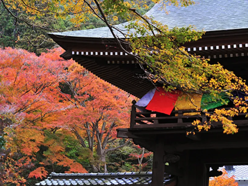 普門寺